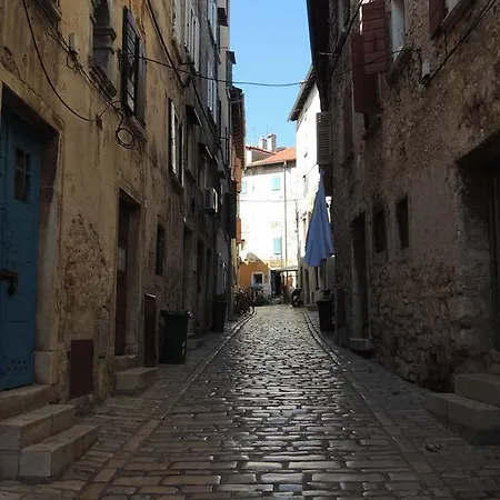 Sani
